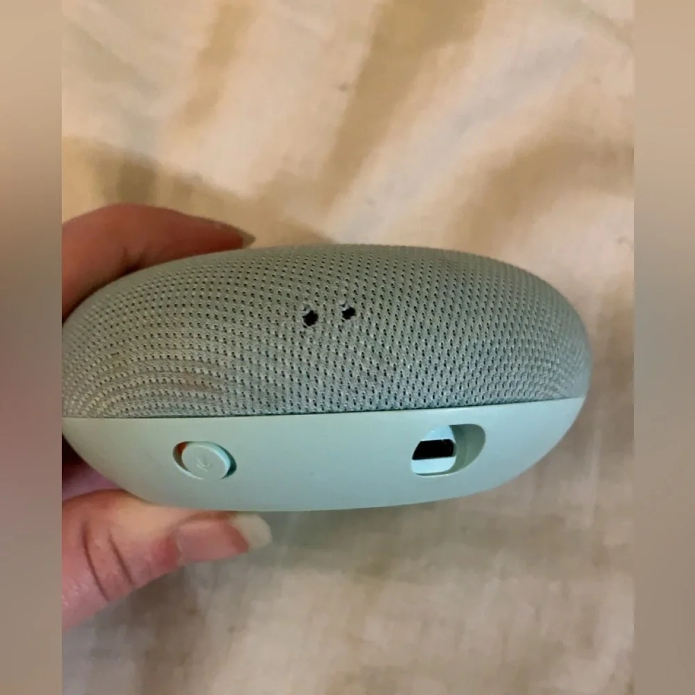 Google home mini